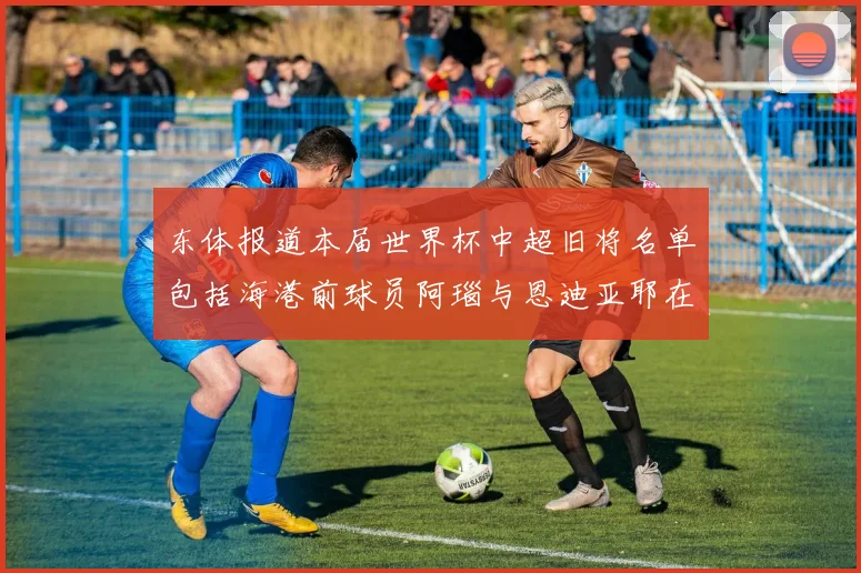 东体报道本届世界杯中超旧将名单包括海港前球员阿瑙与恩迪亚耶在内的10位球员